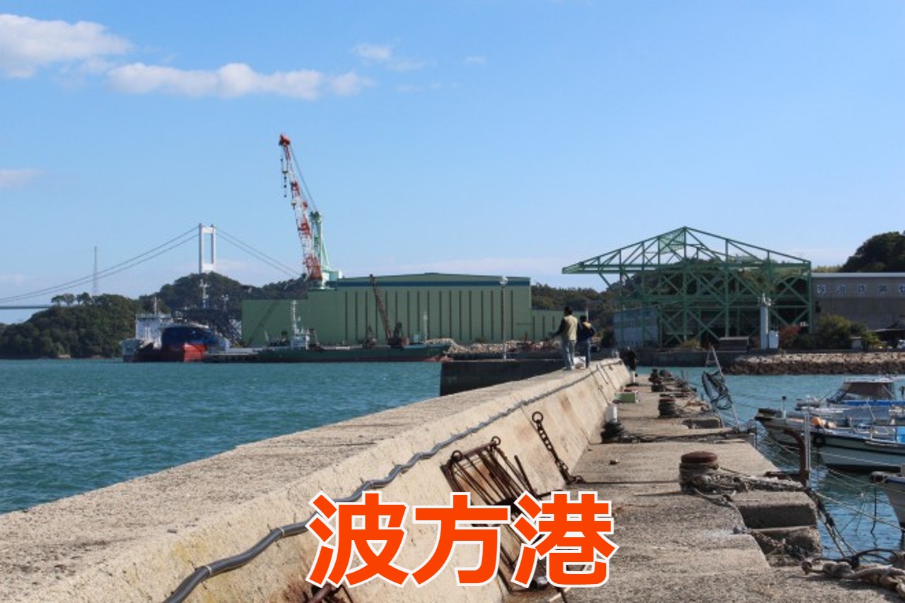 今治 釣り禁止TikTok