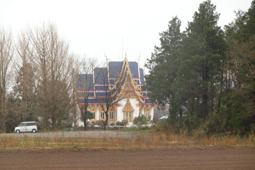 伝統的なチェンマイのソンクラーン「水かけ祭り」 – わが心はタイにあり Love Thailand