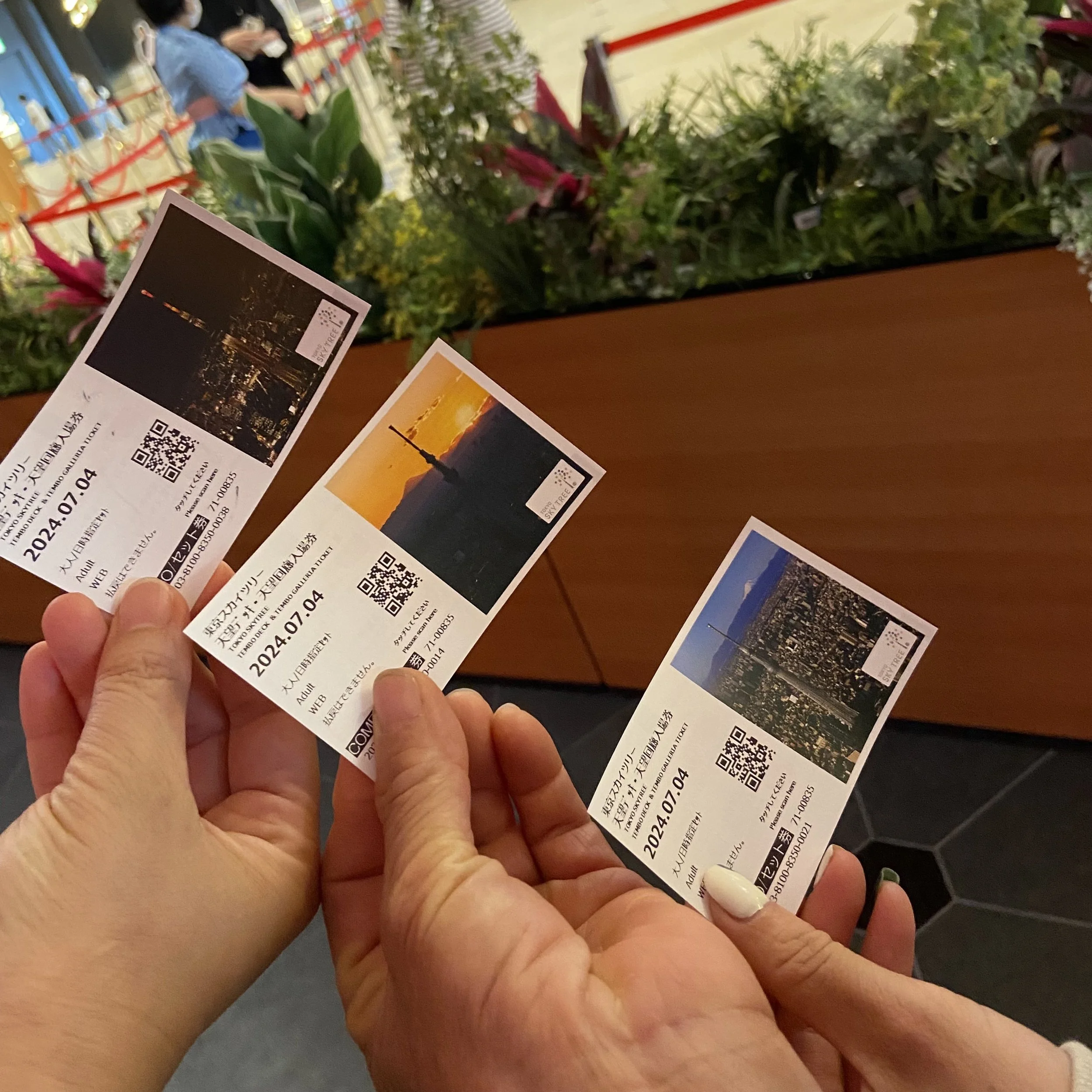 お得に美しい夜景を楽しもう！東京スカイツリー R 「夜割キャンペーン」を実施東京スカイツリータウンのプレスリリース