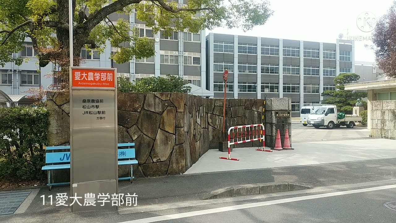 大街道停留場 クチコミ・アクセス・営業時間松山 フォートラベル