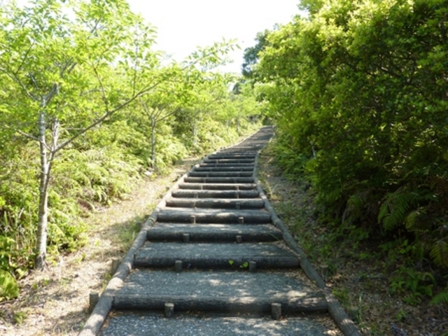 2025年 南海展望公園 -