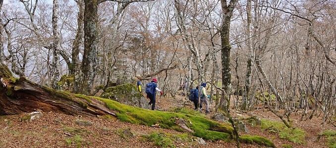 2021 03 06 八経ヶ岳