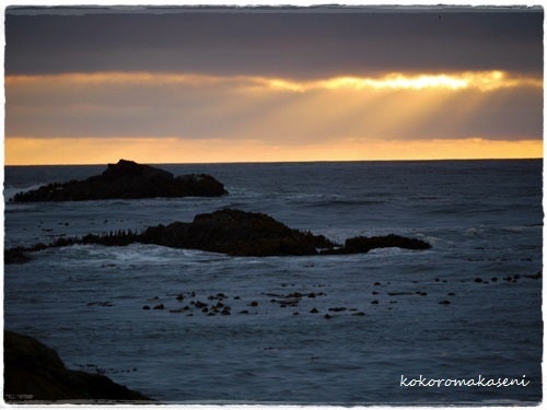 絶景 シーグラスがスゴイ！アメリカ・カリフォルニア州北部の有名なビーチ グラスビーチ- みりたび