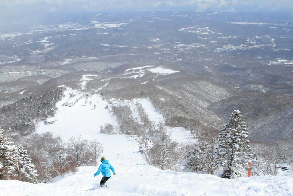 仙台観光 冬の仙台おすすめ観光地11選＆ホテル3選を紹介！国内旅行・海外旅行のお得な情報を発信中！旅行地の情報をさらに詳しく知りたい人、旅行に関するお得な知識を知りたい人必見です