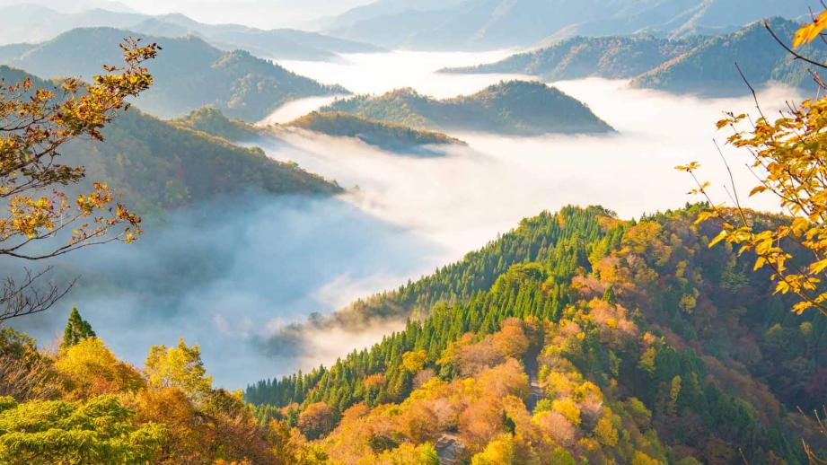 保存版 関西デートならここ！関西女子おすすめスポット50選 人気テーマパーク・絶景スポット・インスタ映えなど アニーお祝い体験マガジン