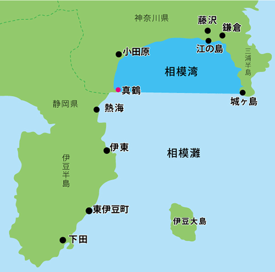 真鶴 岩海岸 シュノーケリングTikTok