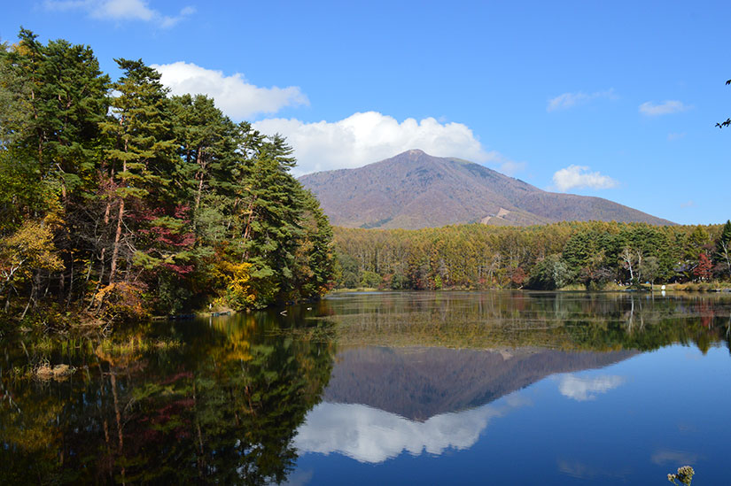 久米路峡の紅葉_紅葉_紅葉トリップアイデアGo NAGANO 長野県公式観光サイト