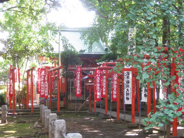 黄金色の境内へようこそ！イチョウが美しい東京「鬼子母神堂」東京都トラベルjp 旅行ガイド