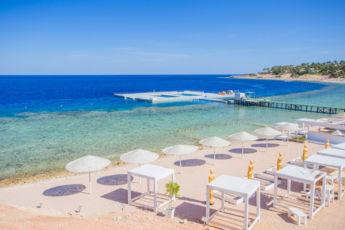 チュニジアで最も美しい、青と白の街シディ・ブ・サイド世界一周フォトたび