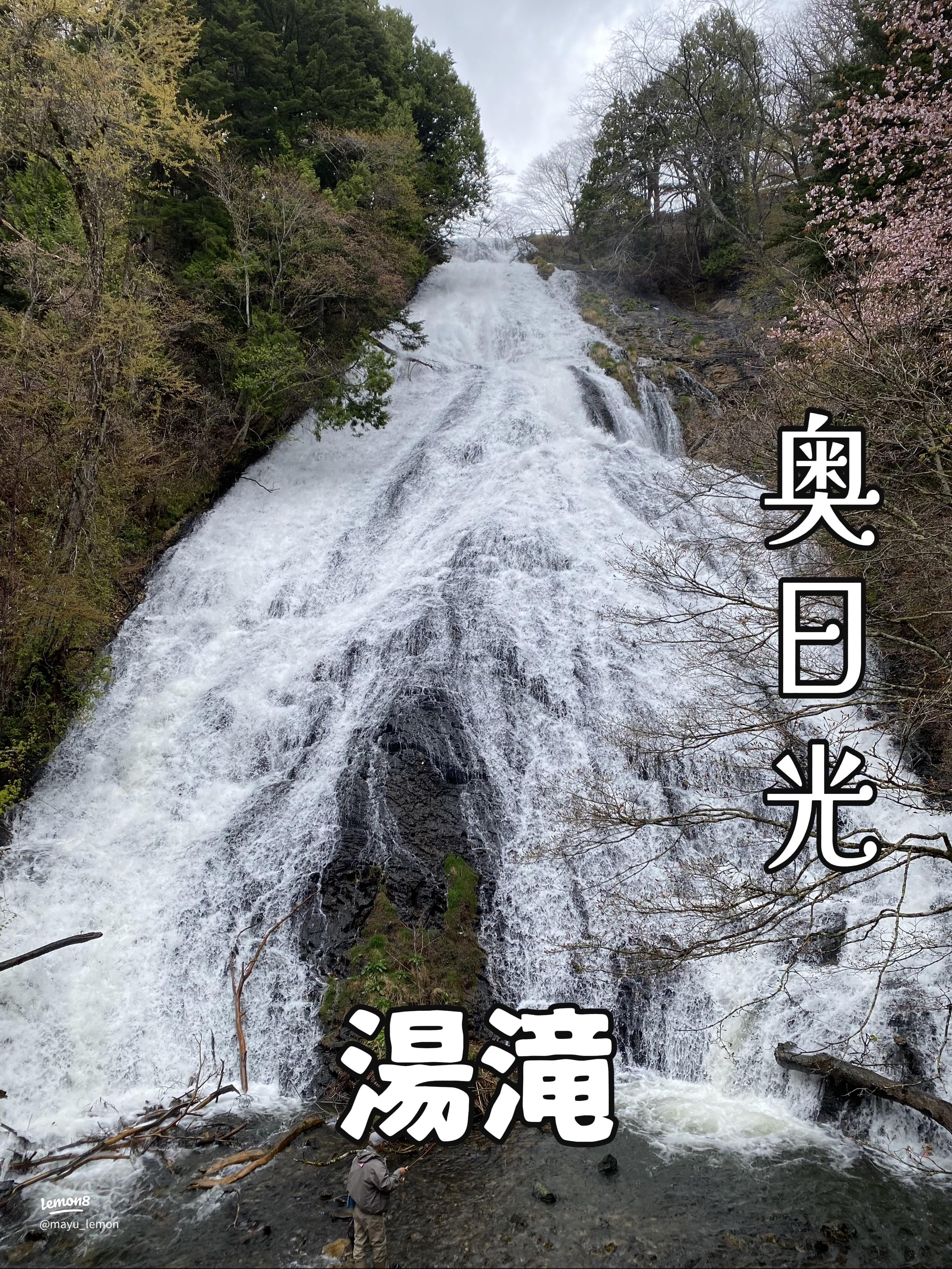 観瀑台からの迫力ある眺めは必見 湯滝 *and trip.