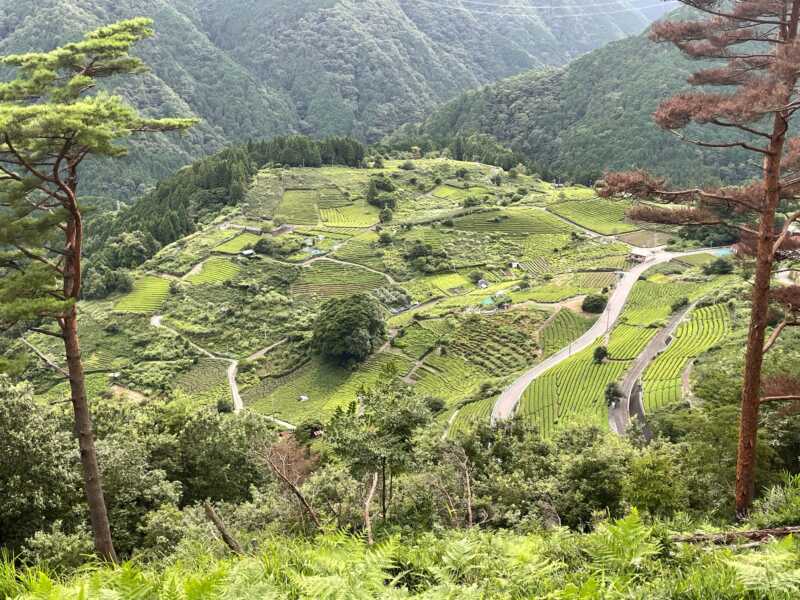 岐阜のマチュピチュへ！ – CYCOLOGY JAPAN
