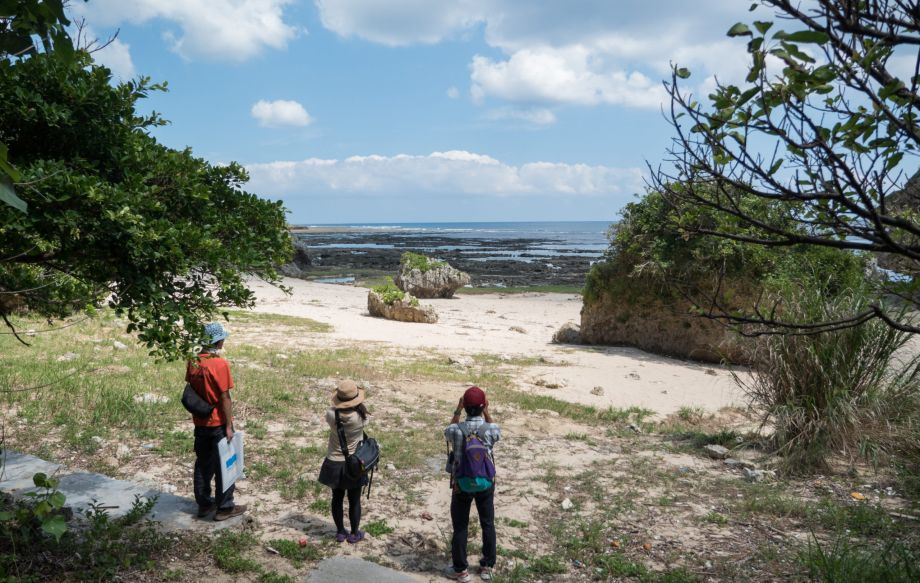 ホロホローの森」歩いてみたら ！？ 島ネタCHOSA班- 琉球新報デジタル