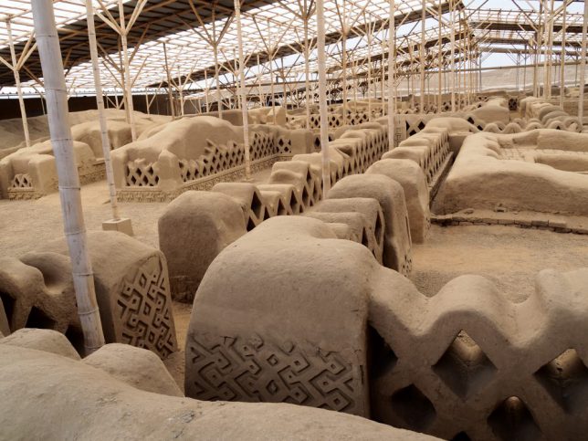 8,745 トルヒーヨ Stock