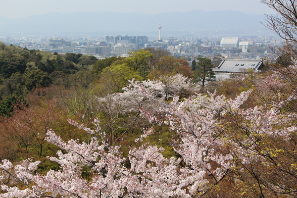 京都🐲清水寺の舞台左右には建物があった！その正体とは”楽舎”？”翼廊”？？清水寺-御朱印