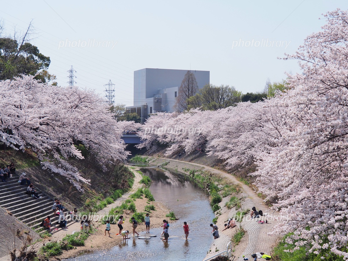 高輪ゲートウェイ駅周辺の観光 5選トリップアドバイザー