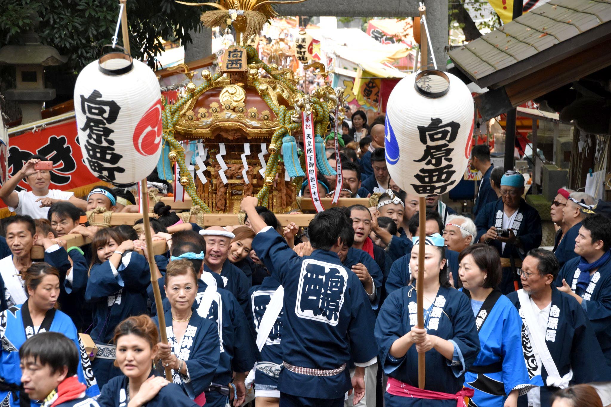 2023年三社祭 神輿を担ぐ人たちアップの写真素材FYI07790896ストックフォトの Qlean Market キュリンマーケット