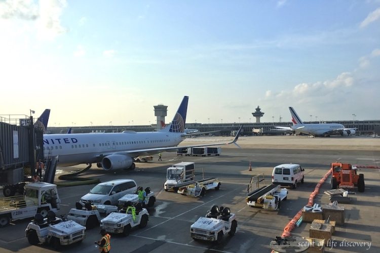 アメリカ・デンバー国際空港を徹底解説！ターミナルやコンコース、ラウンジ情報などを紹介 - ネイティブキャンプ英会話ブログ英会話の豆知識や情報満載