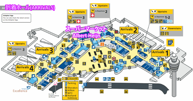 オランダ球根やアムステルダムのスキポール空港での販売のためのチューリップ - お土産のストックフォトや画像を多数ご用意