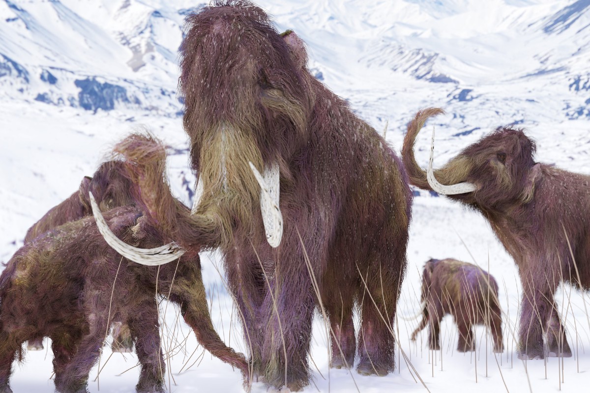 川崎悟司イラスト集・インペリアルマンモス Mammuthus imperator