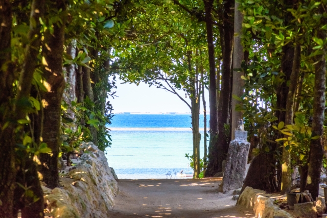 馬場大門のケヤキ並木 - 見どころ、アクセス &