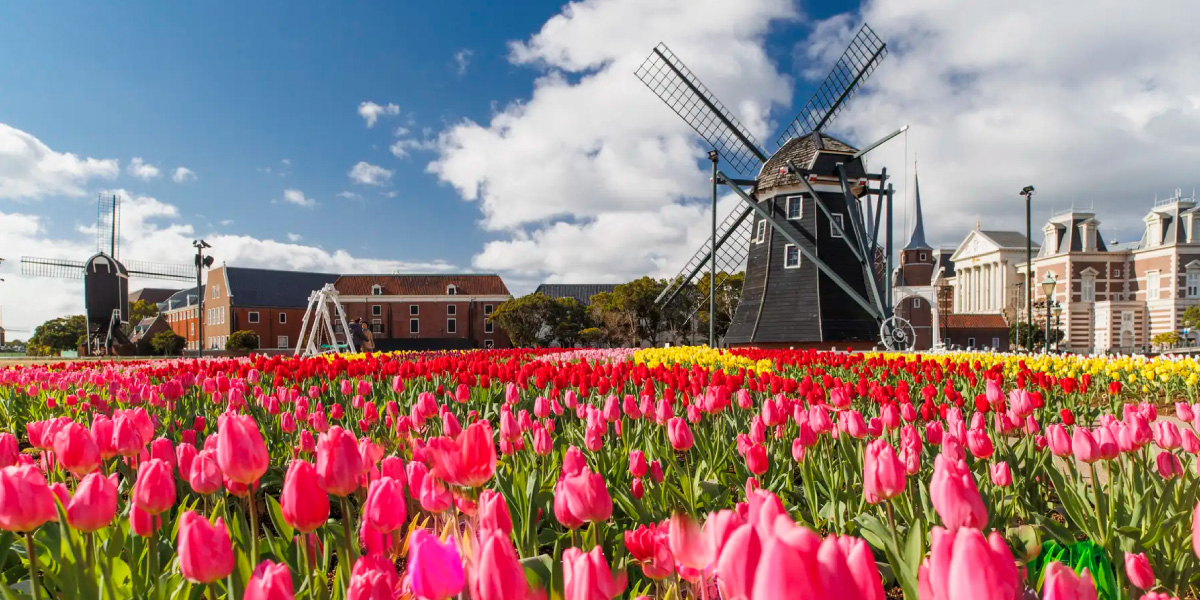 冬はハウステンボスのイルミネーションで感動の夜を！世界最大1300万球が輝く光の王国へ - 女子旅プレス