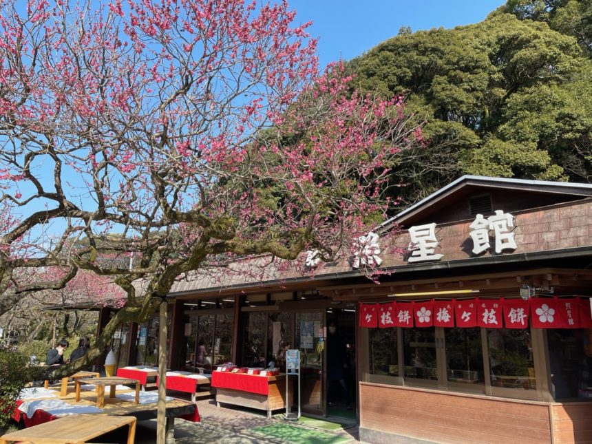 公式 照星館太宰府お食事・お土産・梅ヶ枝餅 太宰府天満宮本殿徒歩約1分福岡県太宰府市