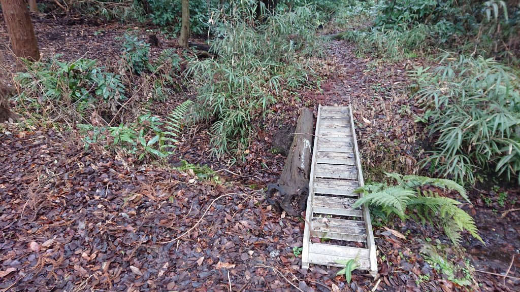 神奈川・無料 自宅を引き払い車上生活の58歳が中津川河川敷で焚き火と車中泊DRIMOキャンピングカ