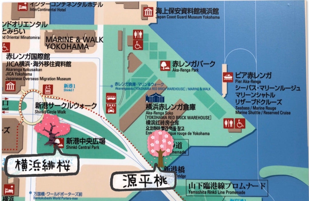 ↓↓↓ 「赤レンガ倉庫」 横浜市中区新港1丁目