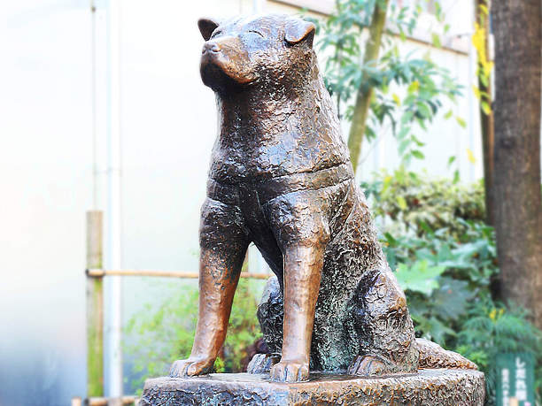 東京・渋谷 人や文化が混ざり合う流行の発信地SHIBUYA - 日本の観光メディアMATCHA