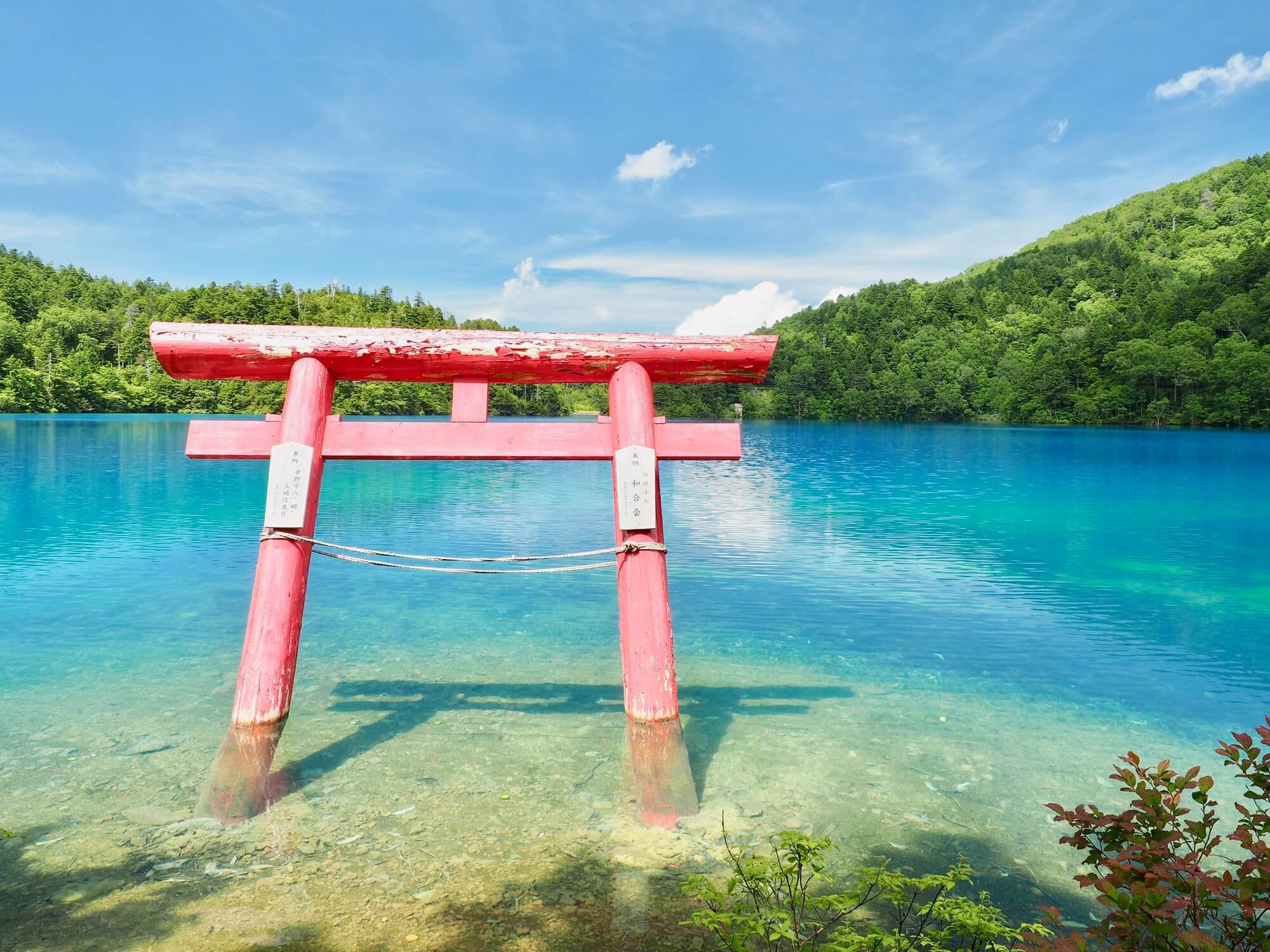 2025年最新 志賀高原・湯田中・渋おすすめ観光名所26選！定番から穴場まで