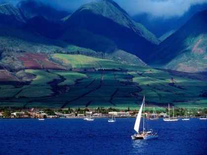 ハワイをもっと好きになる-素敵なハワイの言葉・ことわざ集-株式会社アミナコレクション