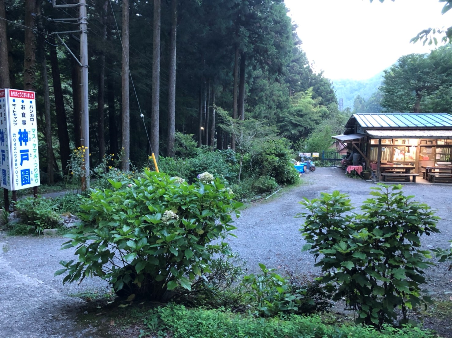 キャンプ場紹介 東京都西多摩『神戸園キャンプ場』都内で楽しめる大自然でキャンプを満喫