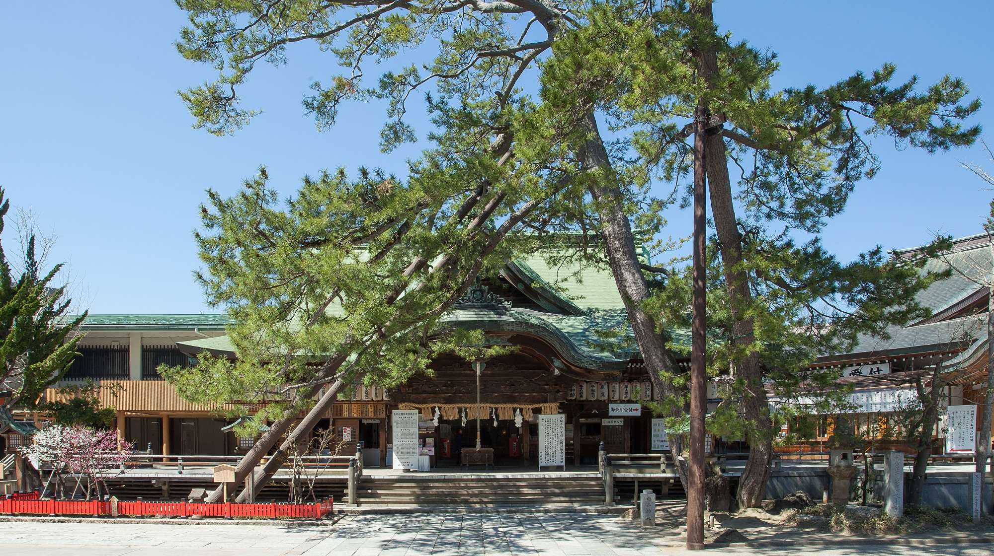 新潟 白山神社の奥にある金運開運の黄龍神社と芸能上達の松尾神社てふてふさんぽ