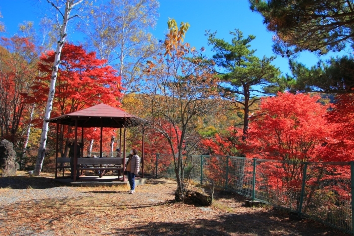 横谷観音展望台 紅葉が見頃です 蓼科温泉 豪族の館
