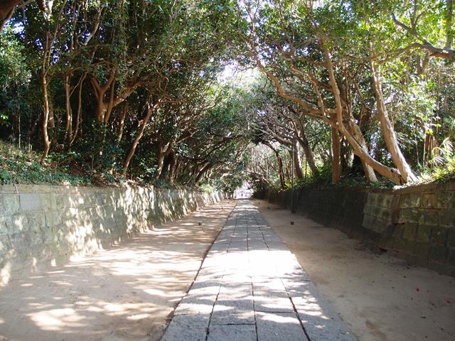 酒列磯前神社阿字ヶ浦はなびより