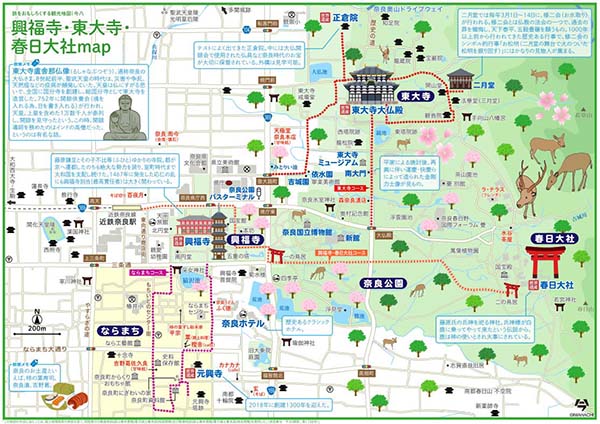 奈良への旅③～奈良公園～東大寺: ikuko～沢風に誘われて②