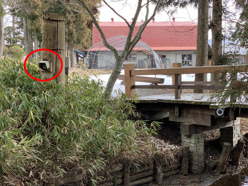 カッパ淵 -岩手県 の詳細情報ことりっぷ