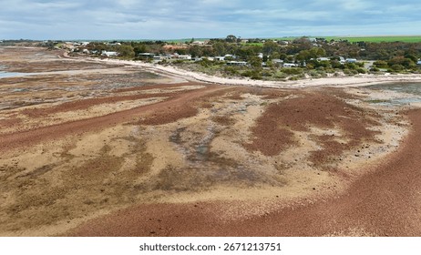 ルイ・ヴィトンが豪ヨーク岬半島の生物多様性の保全・回復へ 自然保護団体と協働 - WWDJAPAN