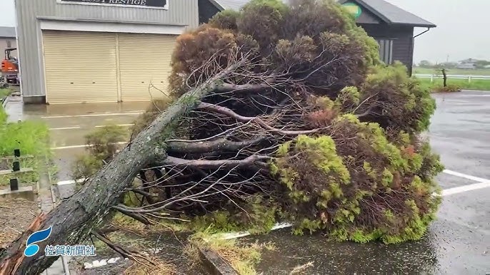 最新の社会ニュース 随時更新- 海岸で波にさらわれ男性死亡台風22号の影響で高波か 神奈川・大磯町