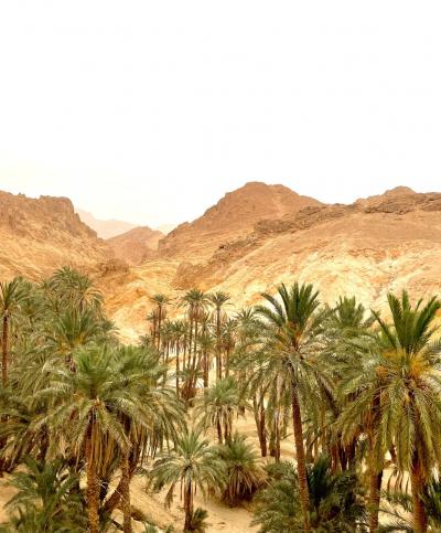 シディ・ブ・サイドのホテルにチェックイン＆夕暮れの地中海 チュニジア旅行記 ＃8seiのソロ旅ダイアリー