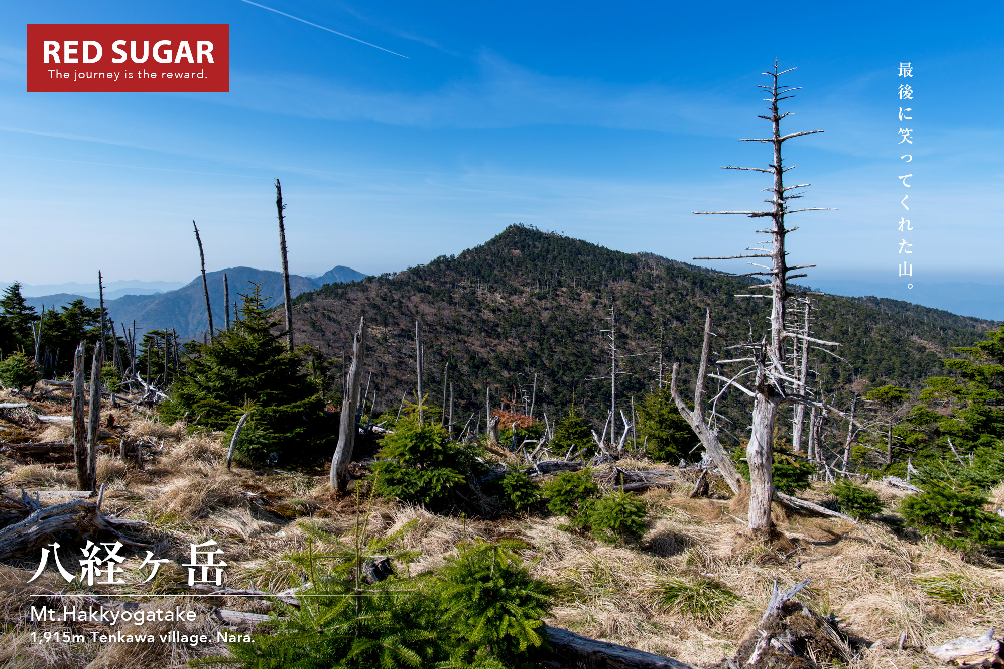 天川川合から弥山、八経ヶ岳へ の登山コースガイド情報山と高原地図Web