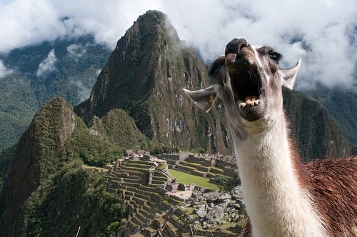 絵画風 壁紙ポスターはがせるシール式マチュ・ピチュ 遺跡 インカ帝国 ペルー