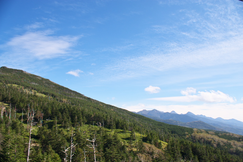 ピラタスロープウェイと坪庭の紹介