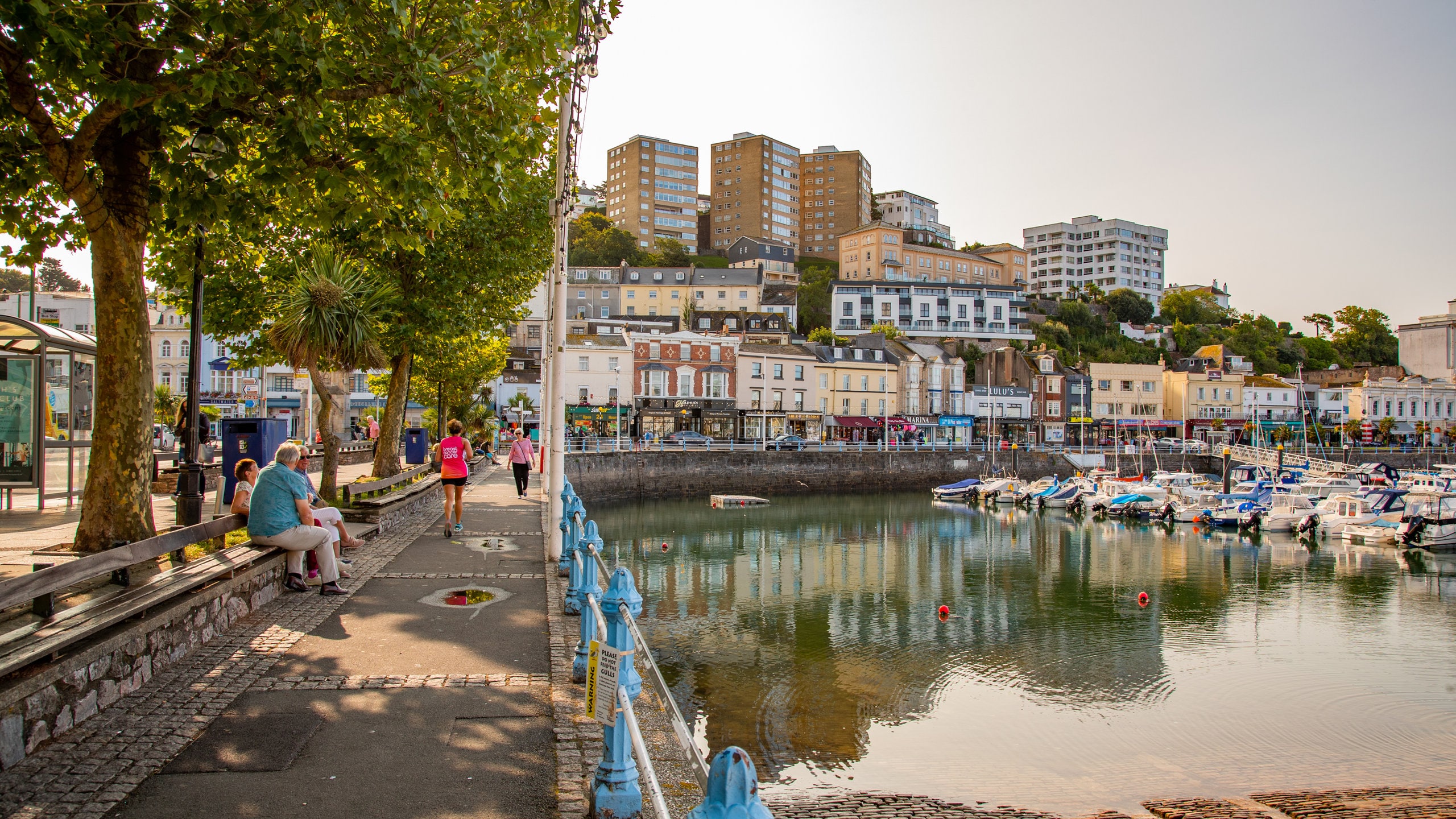 2025年デヴォン人気のクルーズ＆ボートツアー体験ゲットユアガイドGetYourGuide