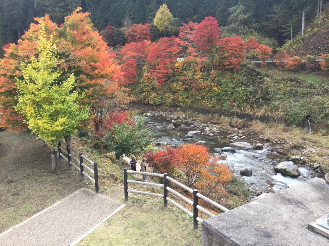 2023年11月 足湯カフェから稲武もみじまつり 』豊田