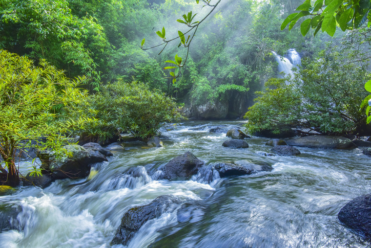 世界遺産カオヤイ国立公園バンコク 旅行の観光・オプショナルツアー予約 VELTRA ベルトラ