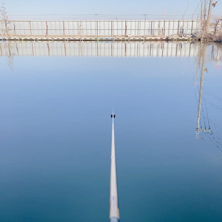 小沼正弥 爆釣シーバスゲーム 2017年01月10日発売号雑誌