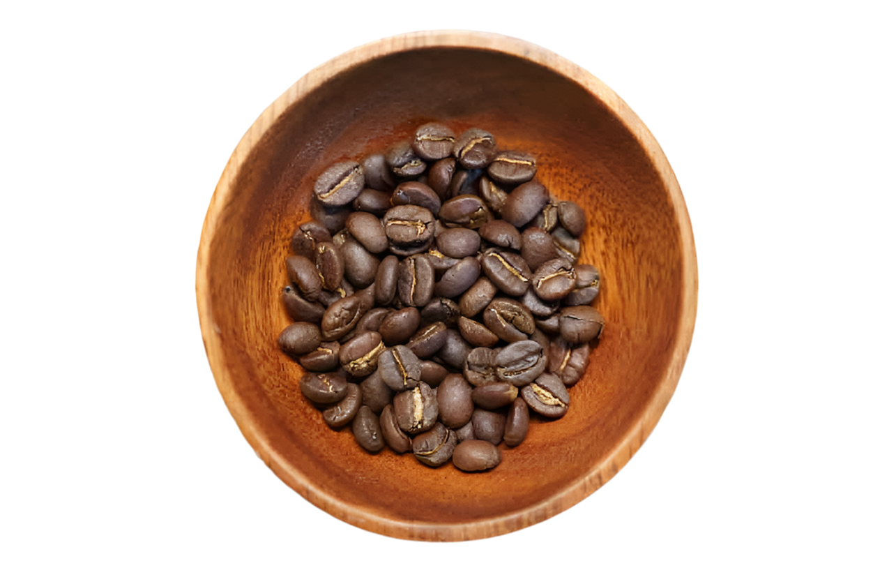 タンザニア ンゴロンゴロ アガワルファミリー