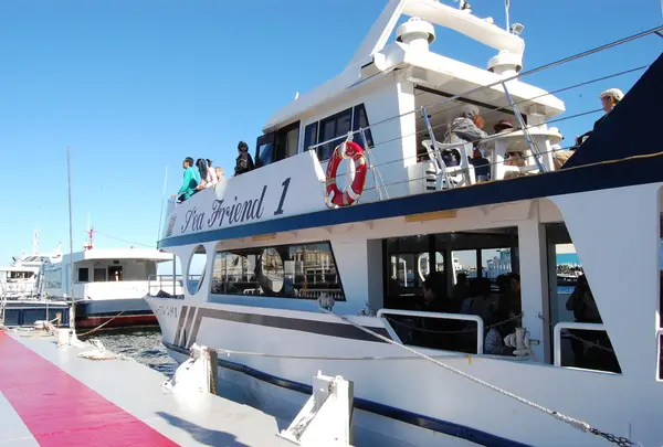 三笠桟橋からフェリーに乗船！猿島探検＆横須賀で美味しいものを。Holidayホリデー