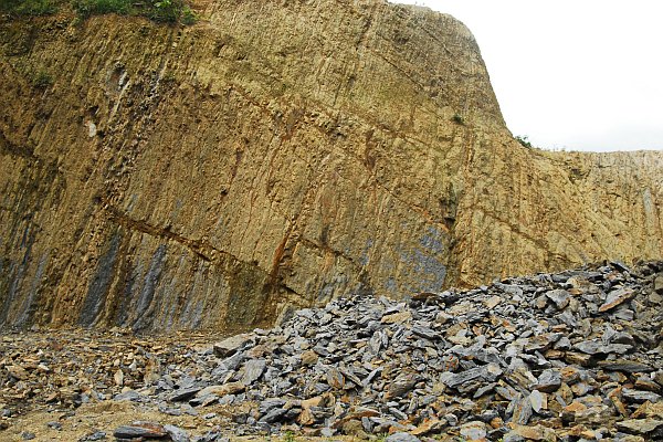 インド北東部にJ-Popバンドがいた!? ミゾラム州のAvora Records! :